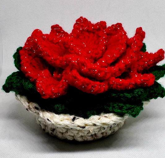 Poinsettia Coaster Set